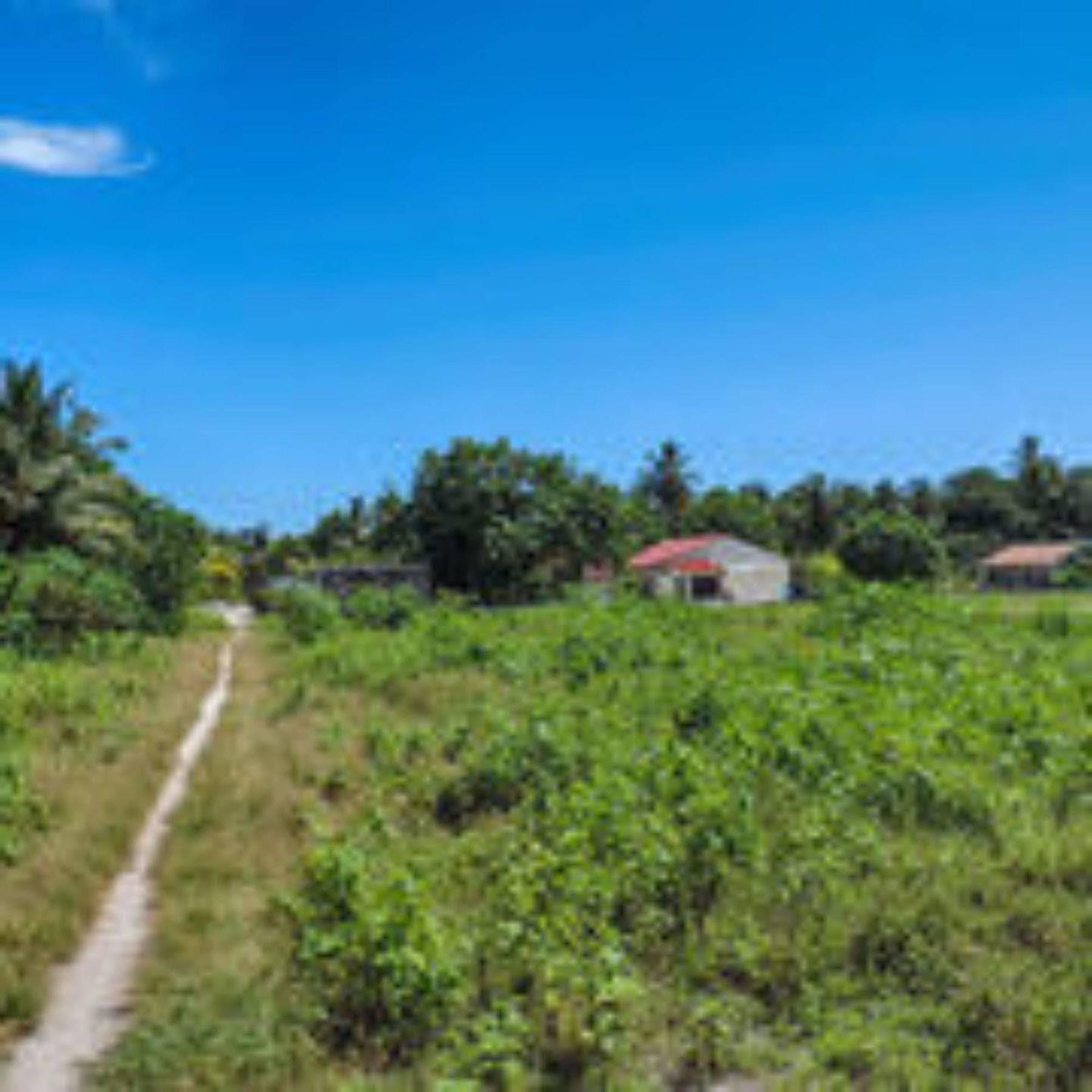 Feridhoo Inn Exterior photo